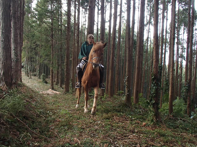 進撃の巨人　乗馬コスプレ
