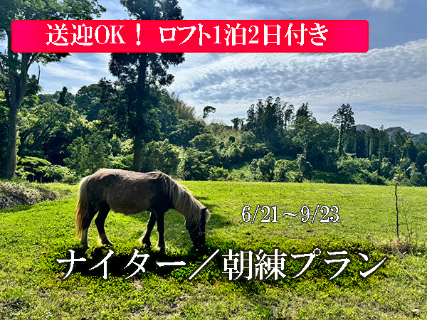 ナイター/朝連プラン